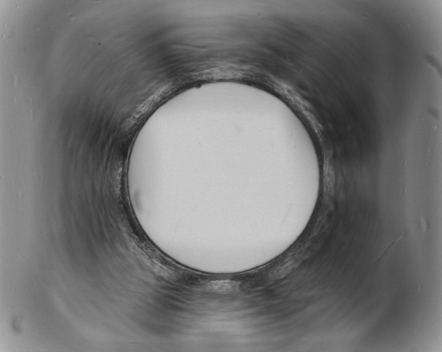 X0000102230153200808221316