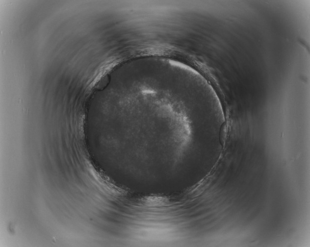 X0000102230154200808221316