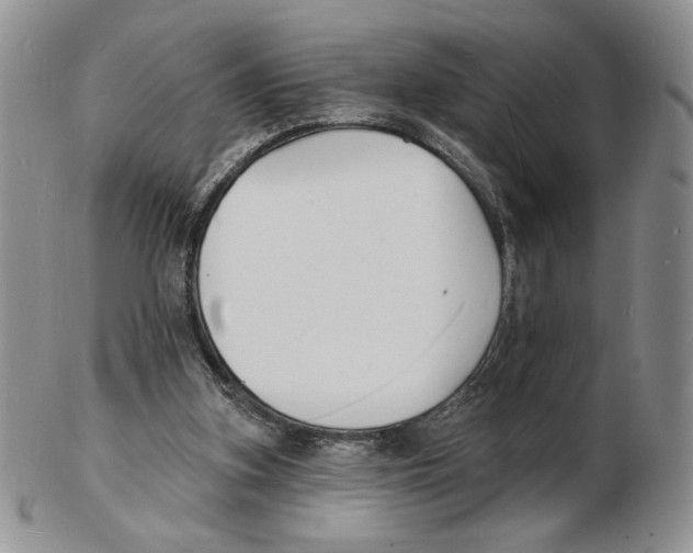 X0000102230155200808221316