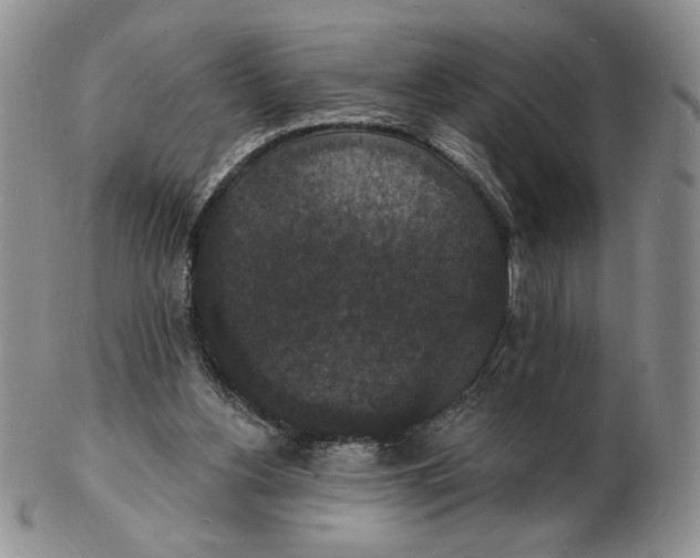 X0000102230156200808221316