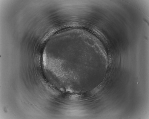 X0000102230158200808221316