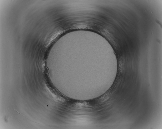 X0000102230160200808221316