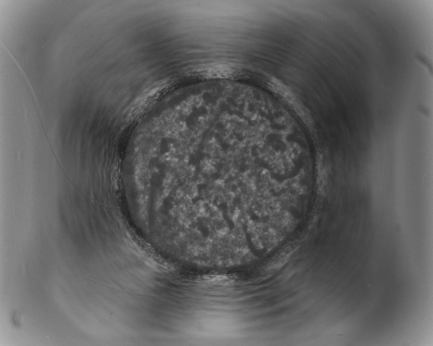 X0000102230161200808221316