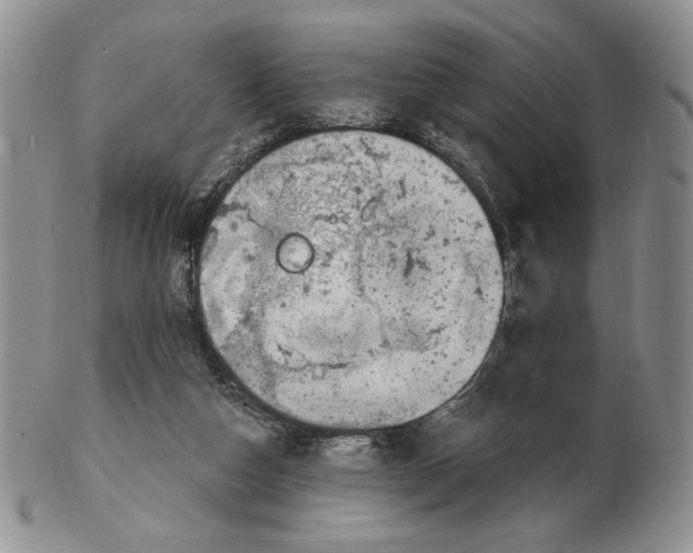X0000102230162200808221316