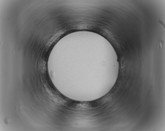 X0000102230164200808221316