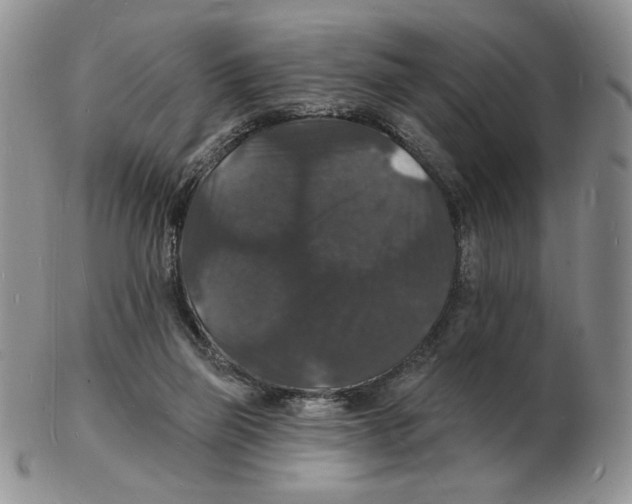 X0000102230165200808221316