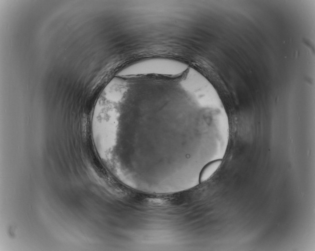 X0000102230167200808221316