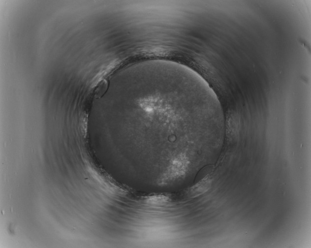 X0000102230168200808221316