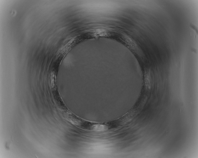 X0000102230169200808221316