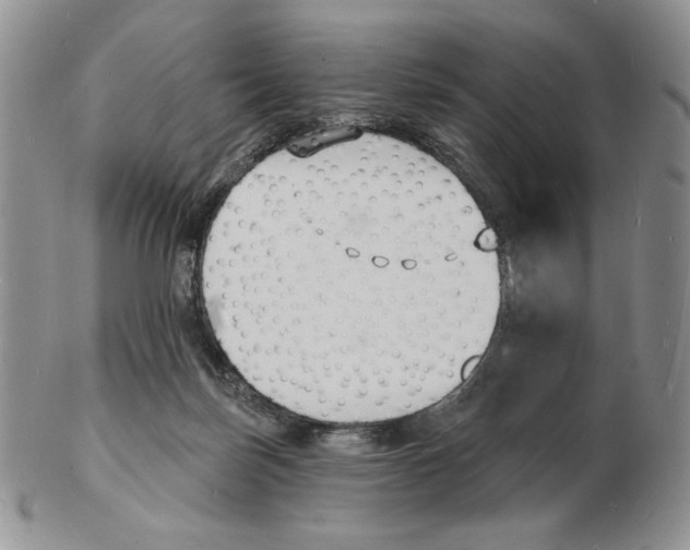 X0000102230171200808221316