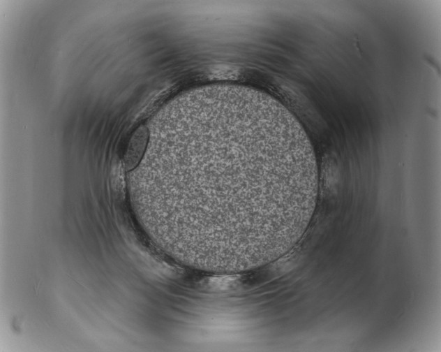 X0000102230172200808221316