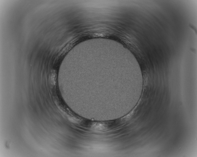 X0000102230174200808221316