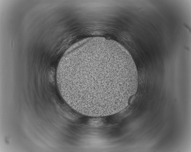 X0000102230175200808221316