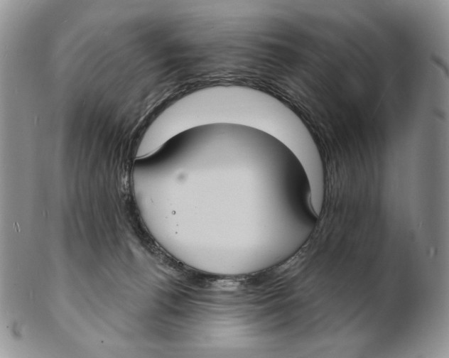 X0000102230176200808221316