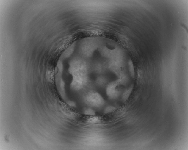X0000102230177200808221316