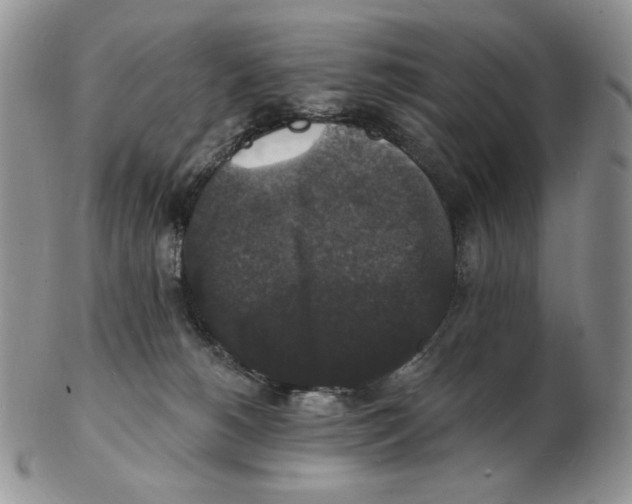 X0000102230180200808221316