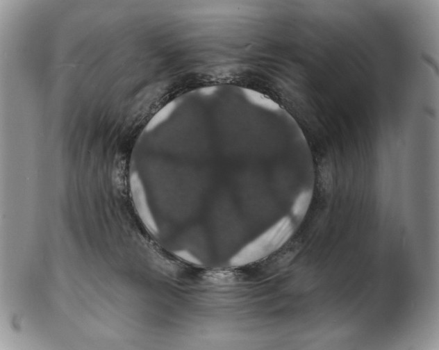 X0000102230181200808221316