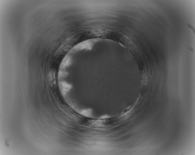 X0000102230182200808221316
