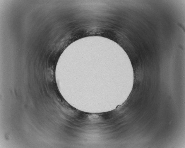 X0000102230183200808221316