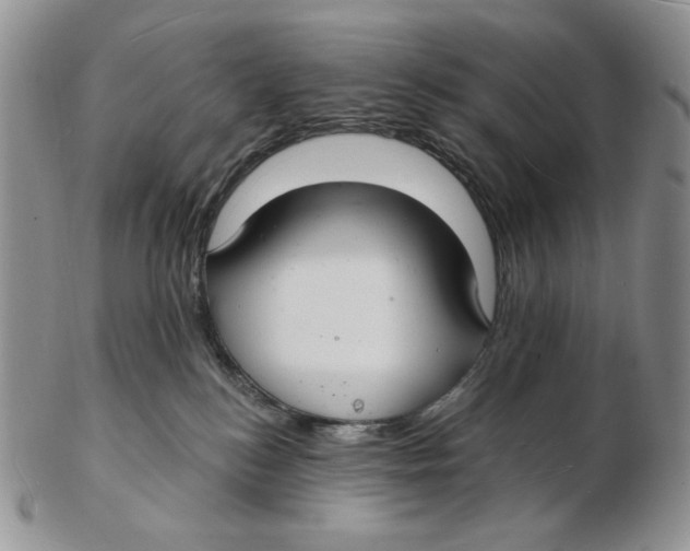 X0000102230184200808221316
