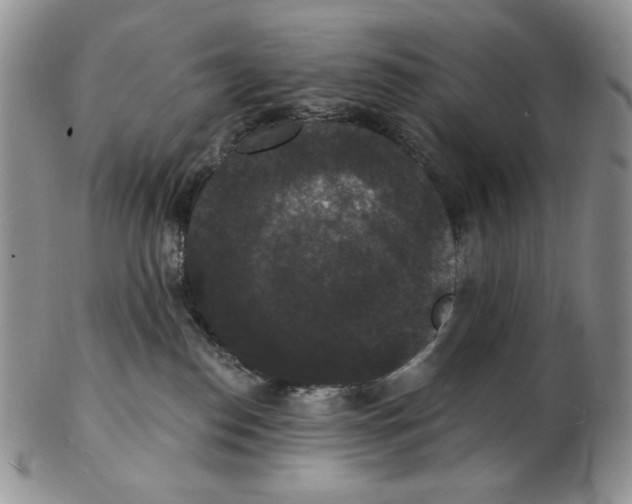 X0000102230186200808221316