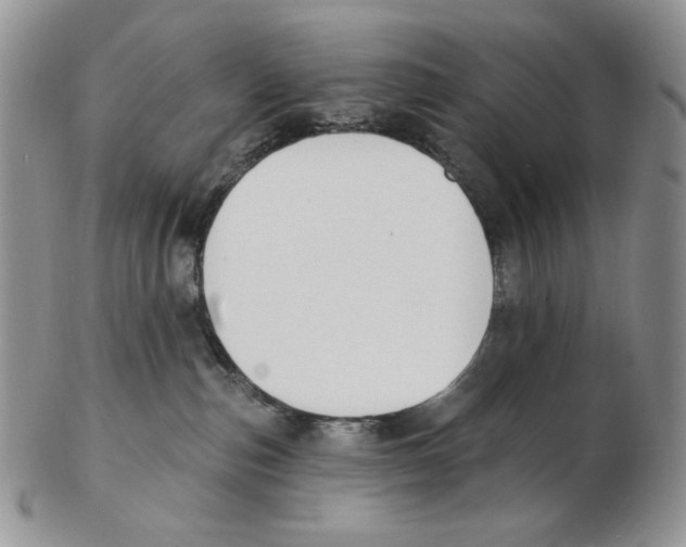 X0000102230187200808221316