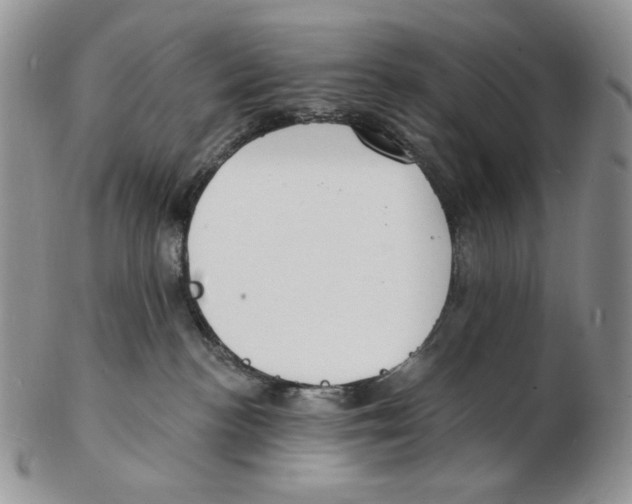 X0000102230188200808221316
