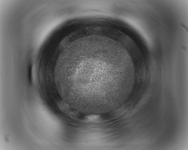 X0000102230189200808221316