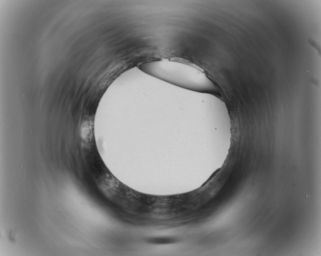X0000102230191200808221316