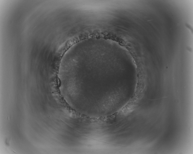 X0000102230192200808221316