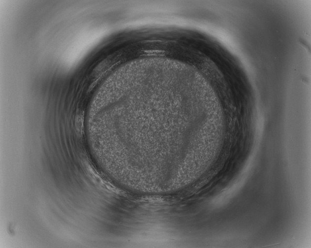 X0000102230194200808221315