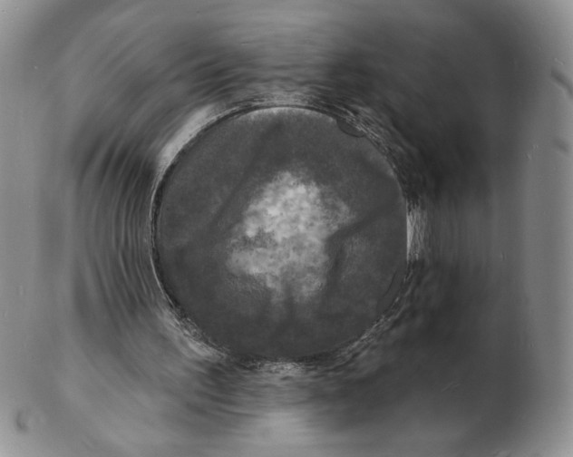 X0000102230195200808221315