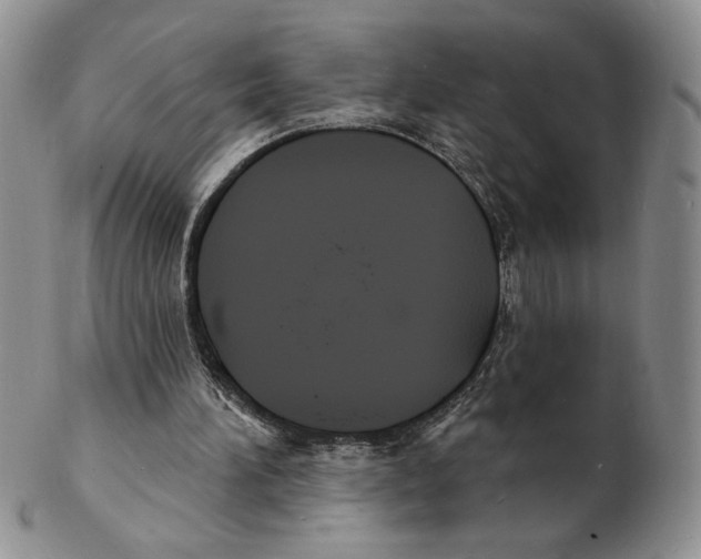 X0000102230196200808221315