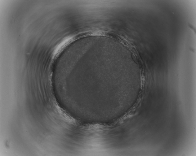 X0000102230197200808221315