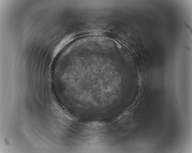 X0000102230198200808221315