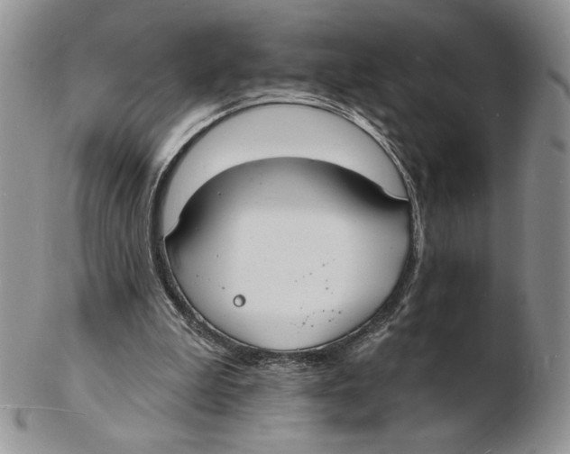 X0000102230199200808221315