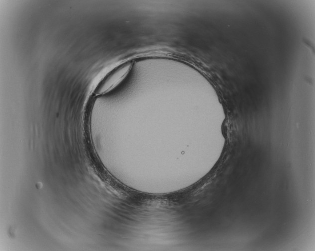 X0000102230200200808221315