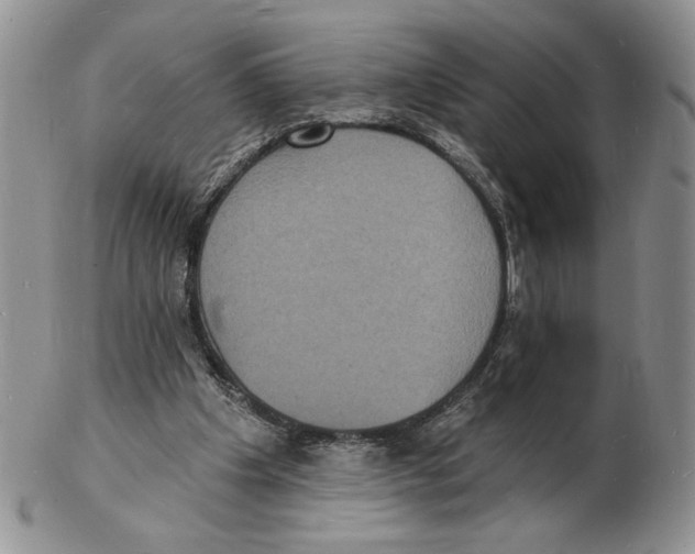 X0000102230201200808221315