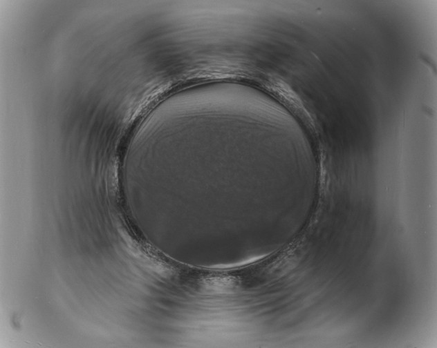X0000102230202200808221315