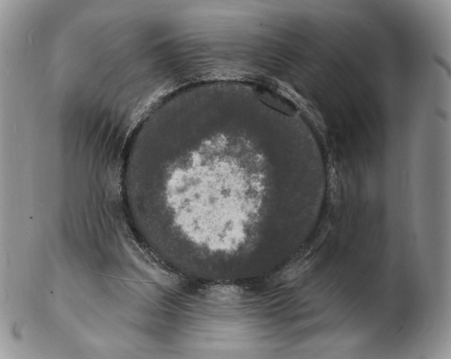 X0000102230203200808221315