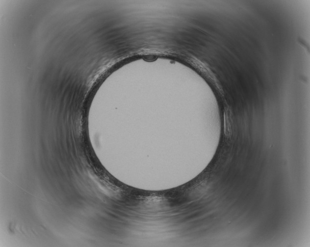 X0000102230204200808221315