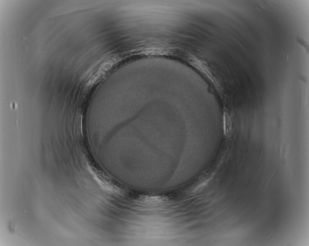 X0000102230205200808221315