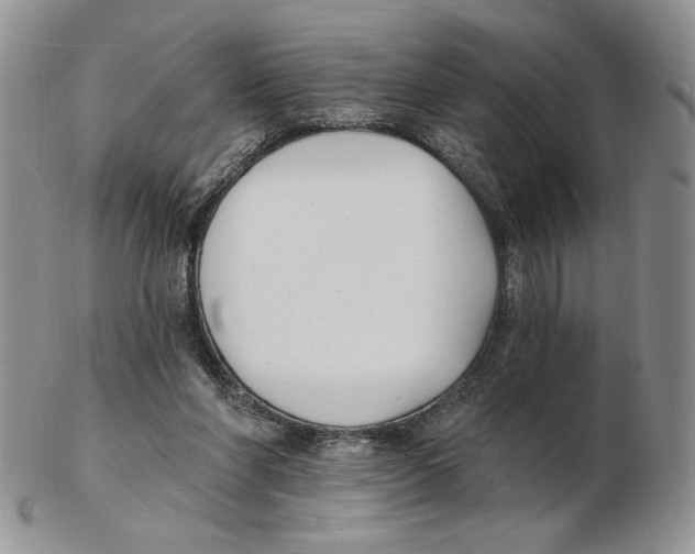 X0000102230206200808221315