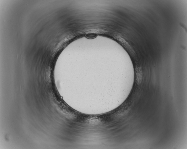 X0000102230207200808221315