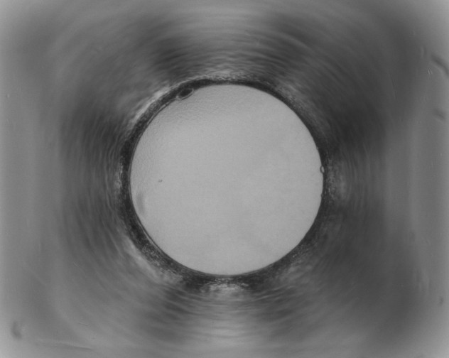 X0000102230208200808221315