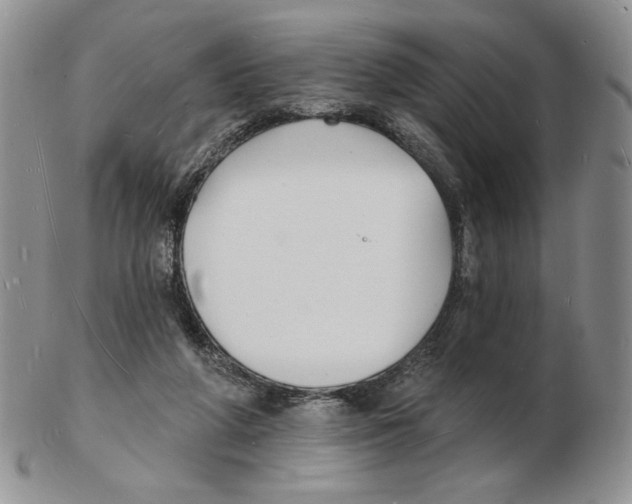 X0000102230210200808221315