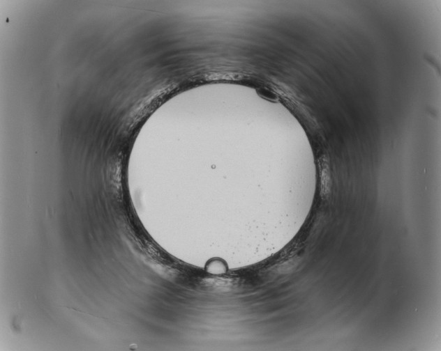 X0000102230211200808221315