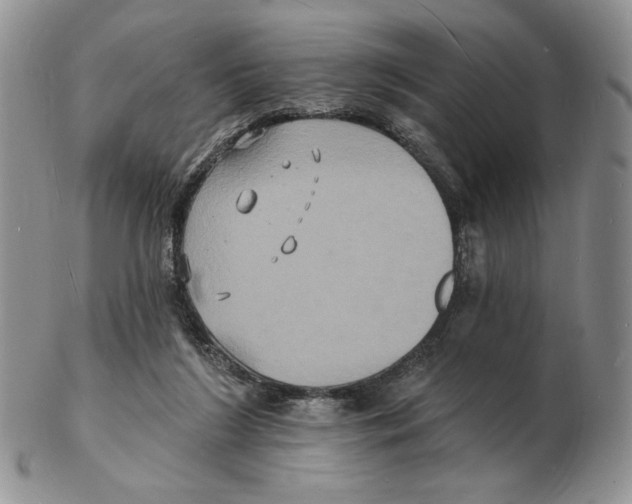 X0000102230212200808221315