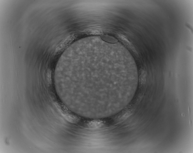 X0000102230213200808221315