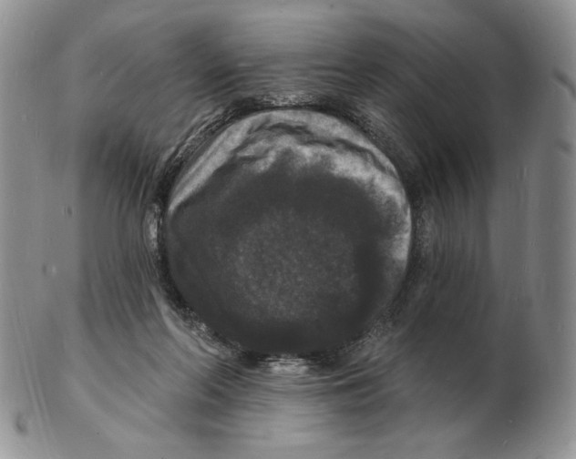 X0000102230214200808221315